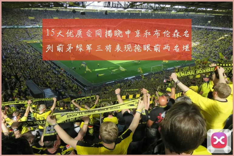 15大优质合同揭晓申京和布伦森名列前茅绿军三将表现抢眼前两名堪称传奇
