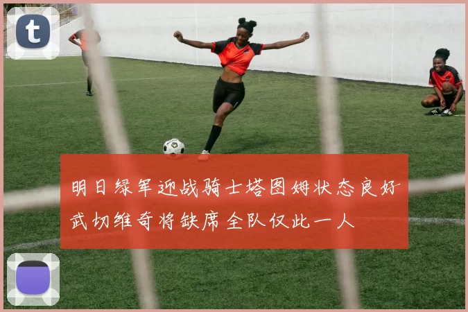 明日绿军迎战骑士塔图姆状态良好武切维奇将缺席全队仅此一人